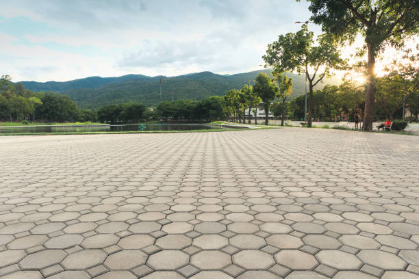 Best Custom Driveway Pavers  in Covington, TN
