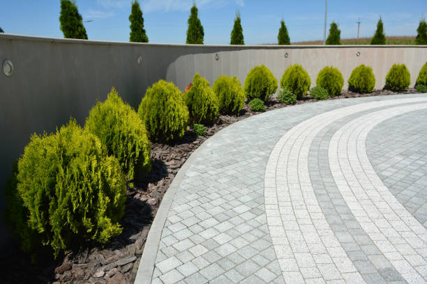 Reasons to Select Us for Your Driveway Paving Requirements in Covington, TN